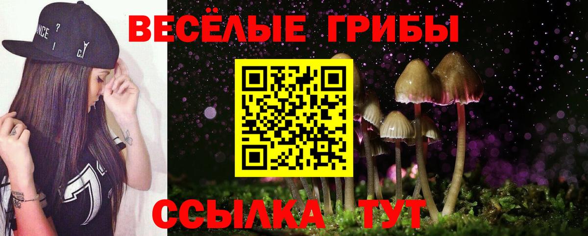 Псилоцибиновые грибы мухоморы Рузаевка