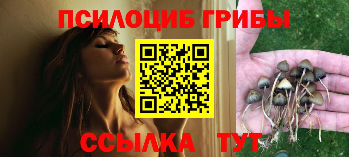 Рузаевка  Псилоцибиновые грибы Cubensis  Вход с VPN 